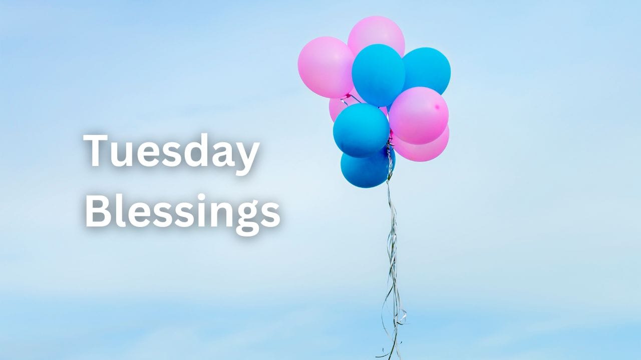Happy tuesday Blessing us - featured image